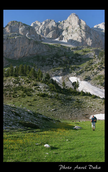 Postcard_from_Albania.jpg