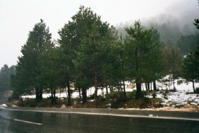 Llogora_2001_5.sized.jpg