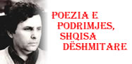 Poezia e Podrimjes, shqisa dëshmitare 