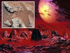 Deklarata historike, NASA: Ne Mars zbuluam molekula organike