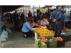 Proteste per shpifjet dhe konkurencen e pandershme ndaj tregut Agro Ushqimore Dinamo