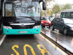 Transporti urban: Te premten, Tirana s'ka autobuse 24 ore