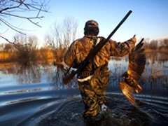 Stop gjuetise, National Geographic: Shpetojne miliona zogje qe migrojne