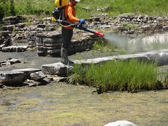 Turizmi pa mushkonja nis nga Butrinti ne Sarande